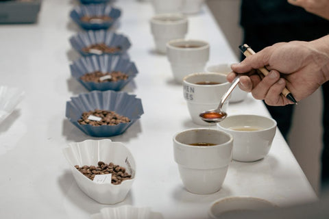 seven miles quality control coffee cupping