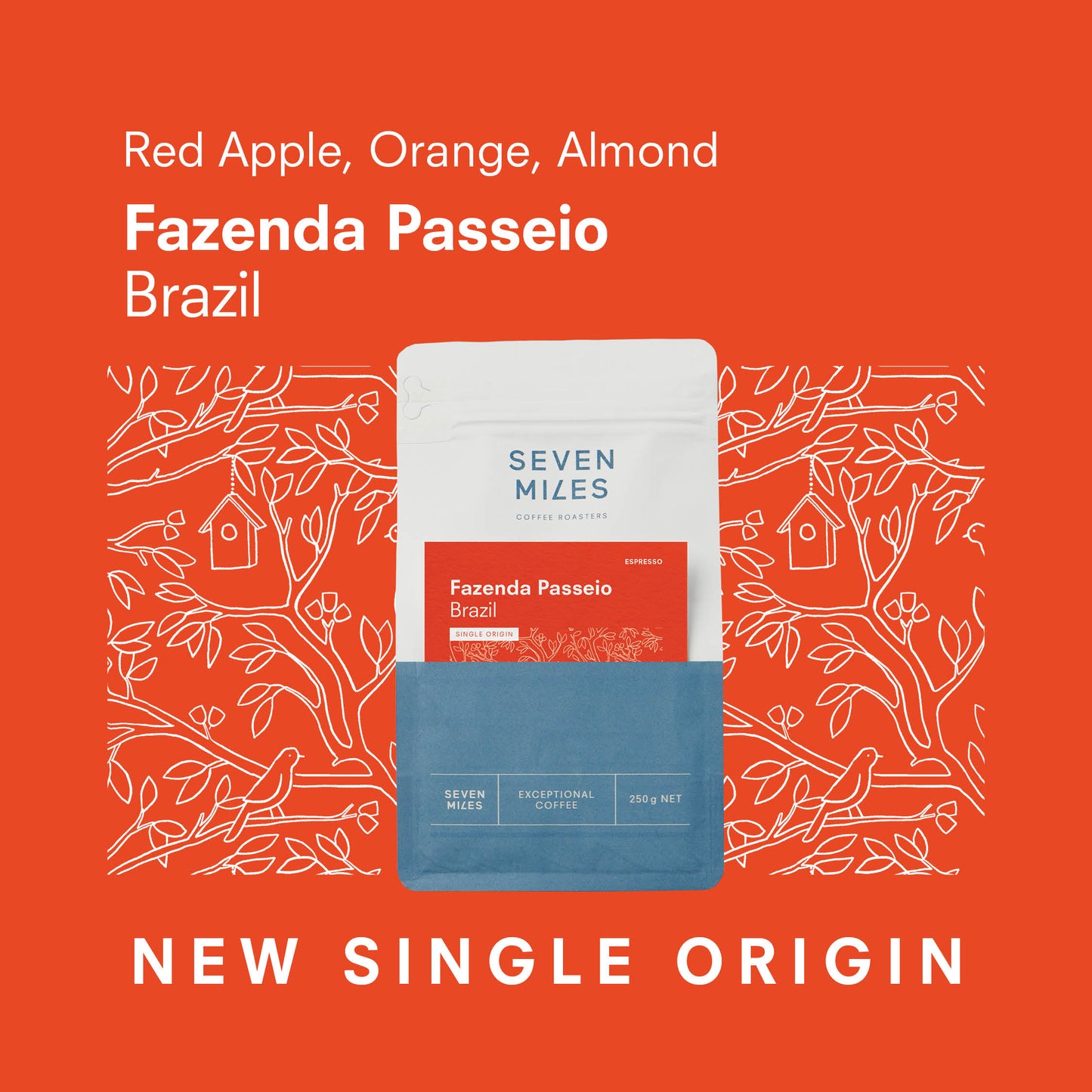 Brazil Fazenda Passeio
