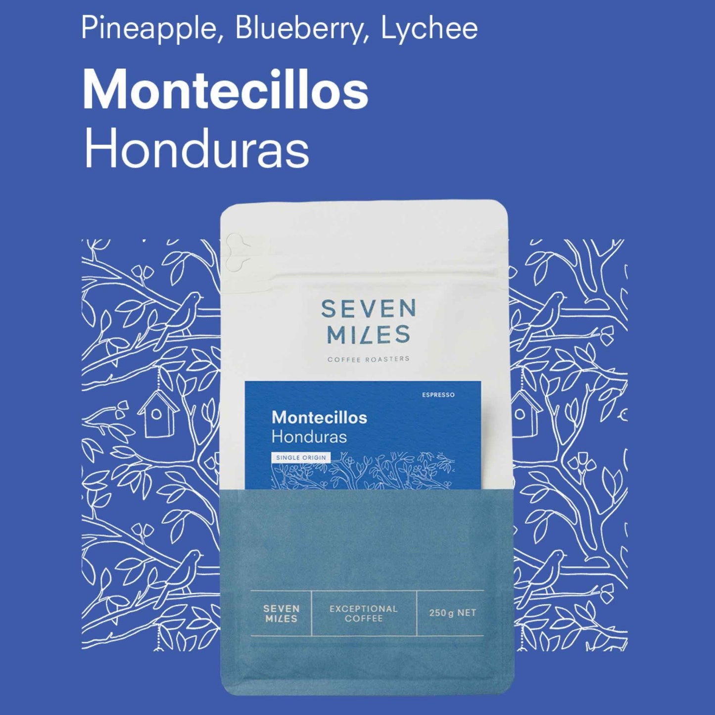 Honduras Montecillos
