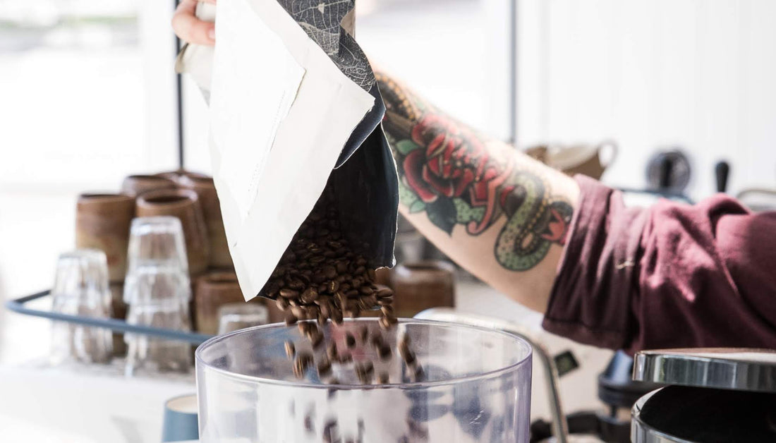 How to Store Coffee Beans|coffee shelf life - thought leadership|Seven Miles where to store coffee infographic|test matrix storing coffee beans|Mac Street Coffee barista at work