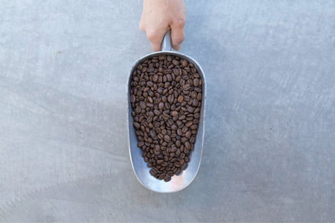 coffee beans in a mteal scoop