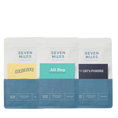 Balanced Buzz Sampler Pack